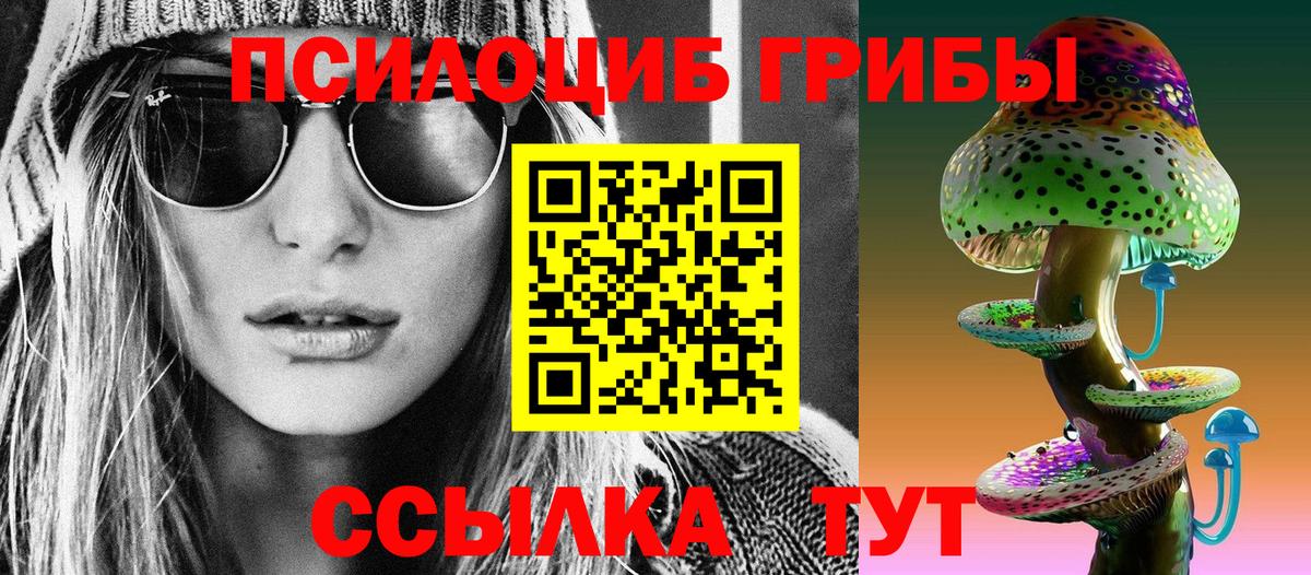 Псилоцибиновые грибы Cubensis  Вход с VPN  Аша 