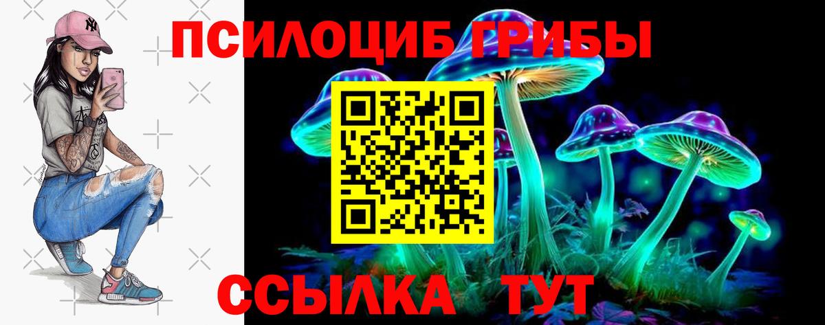 Галлюциногенные грибы Psilocybine cubensis Аша
